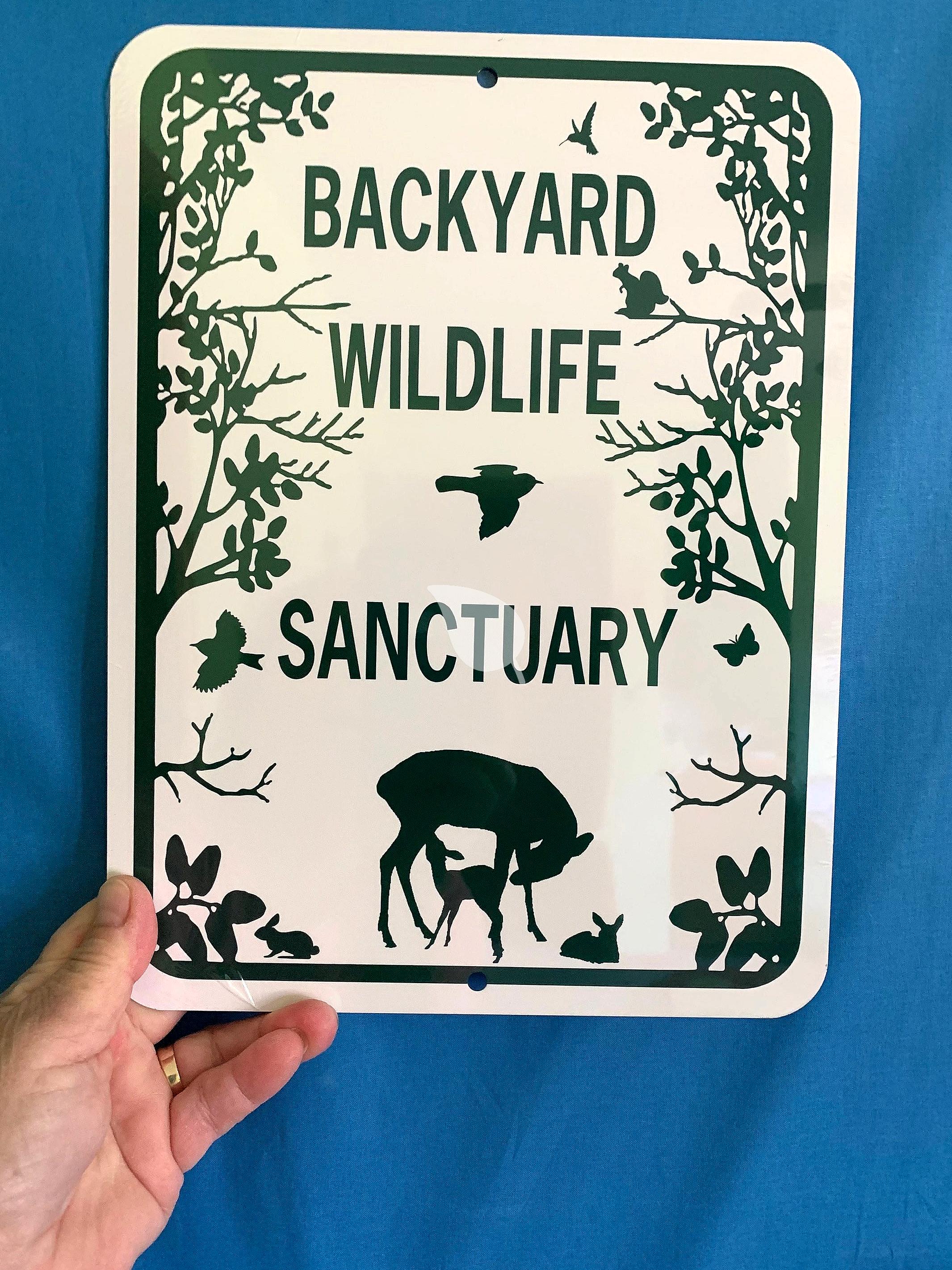 Children helping create a backyard wildlife sanctuary with native plants and bird feeders