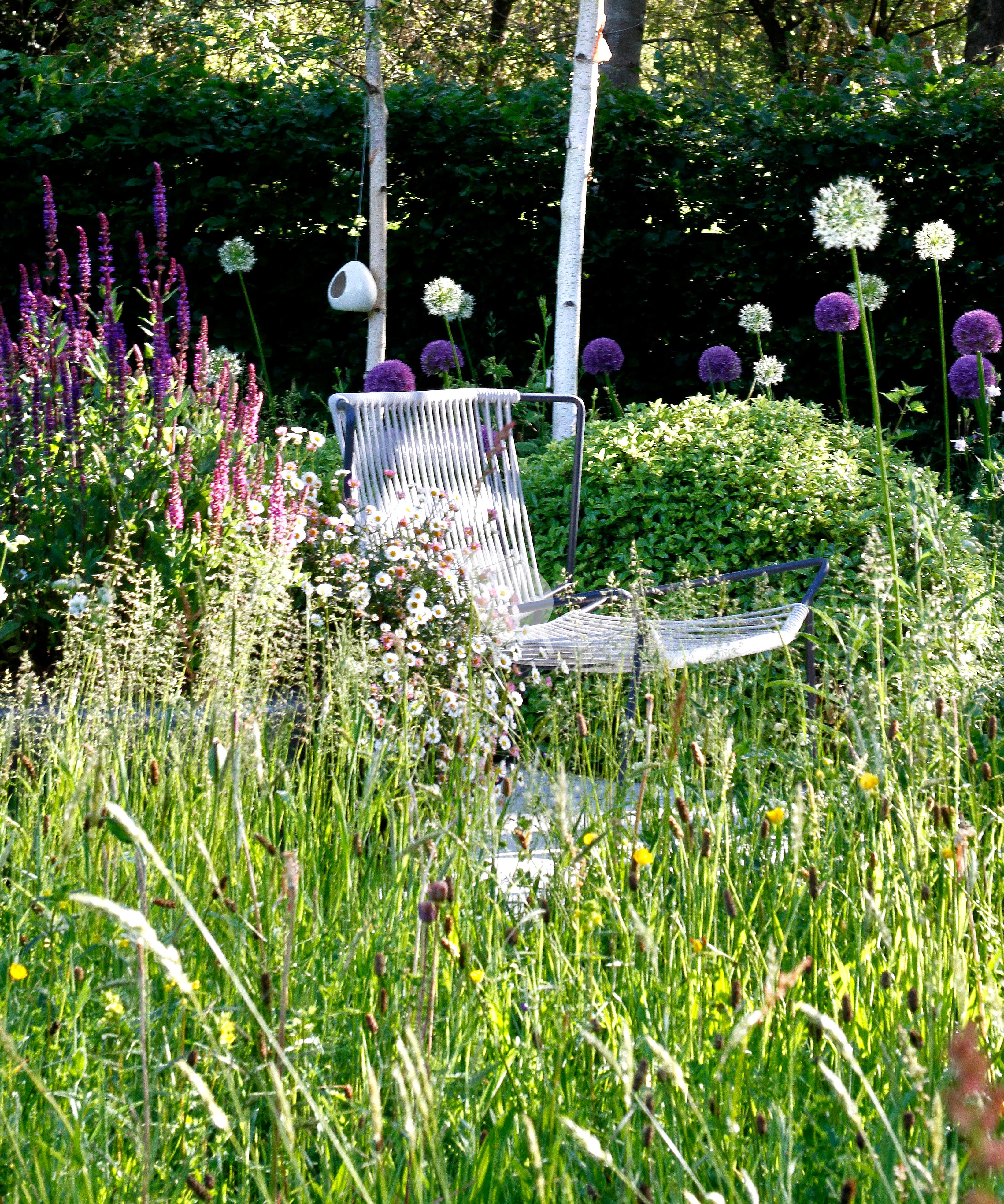 Native plants attracting butterflies and birds in a backyard