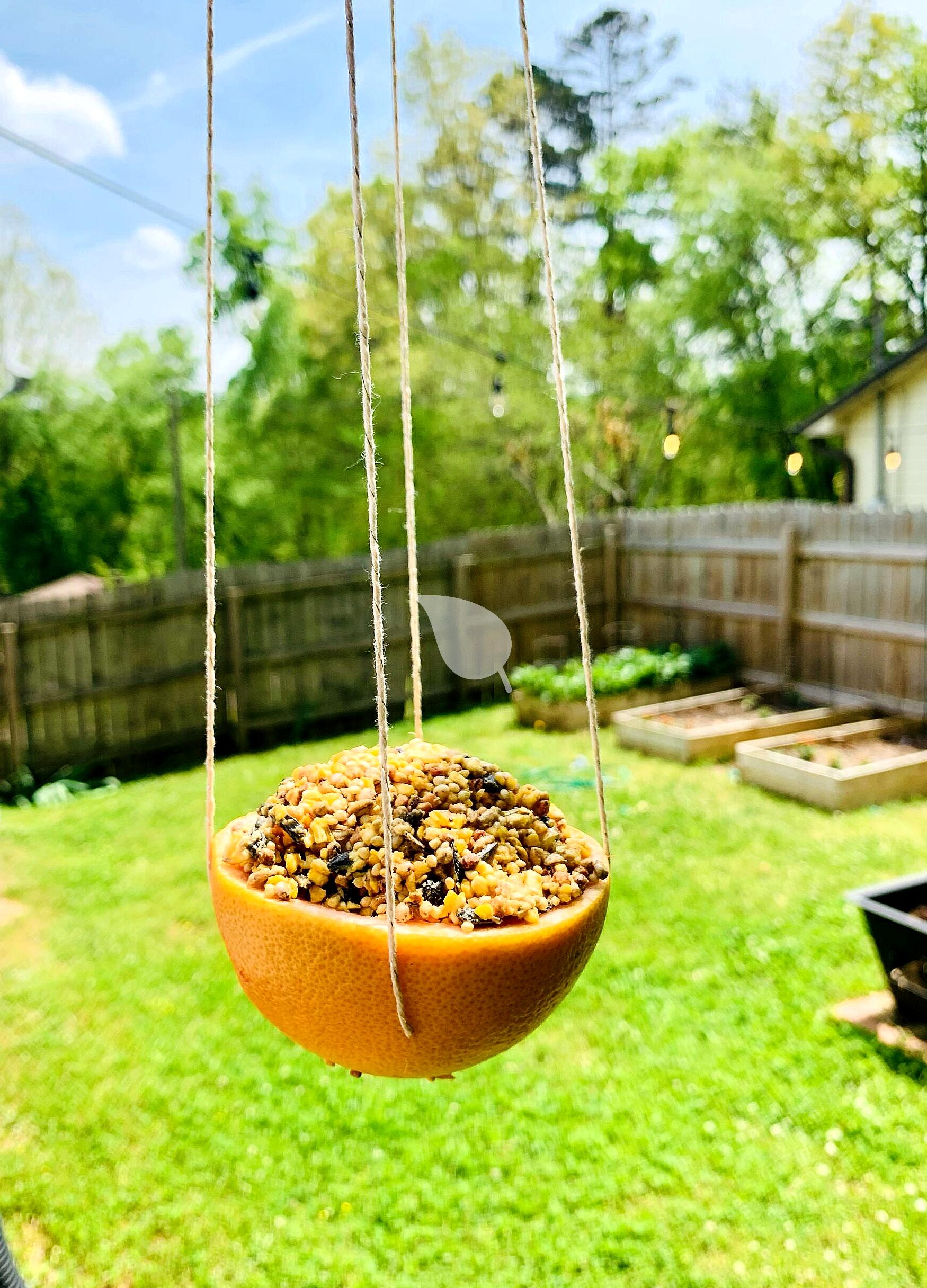 Toddler filling a bird feeder safely with supervision