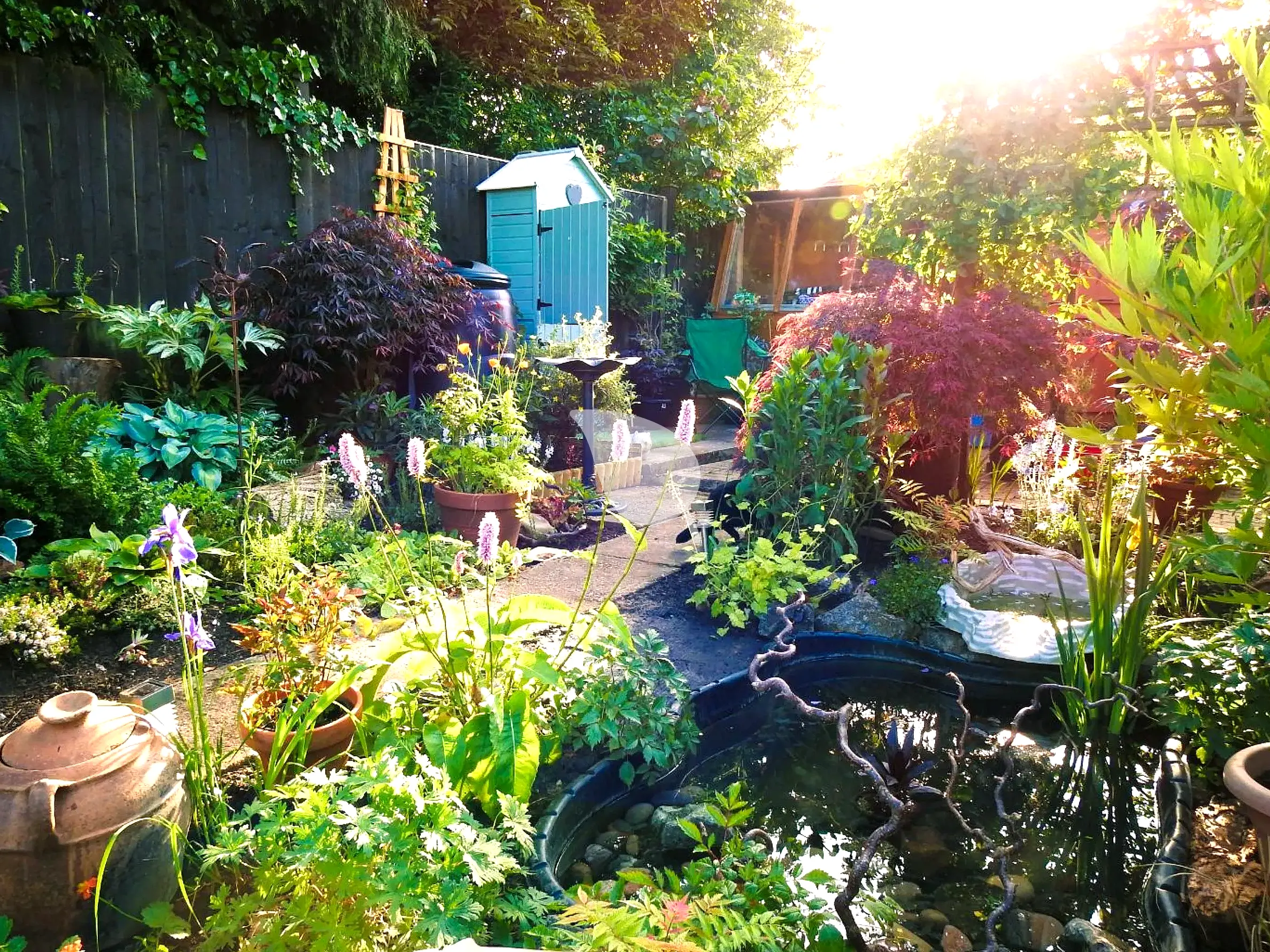 Insect hotel and birdbath in a backyard sanctuary
