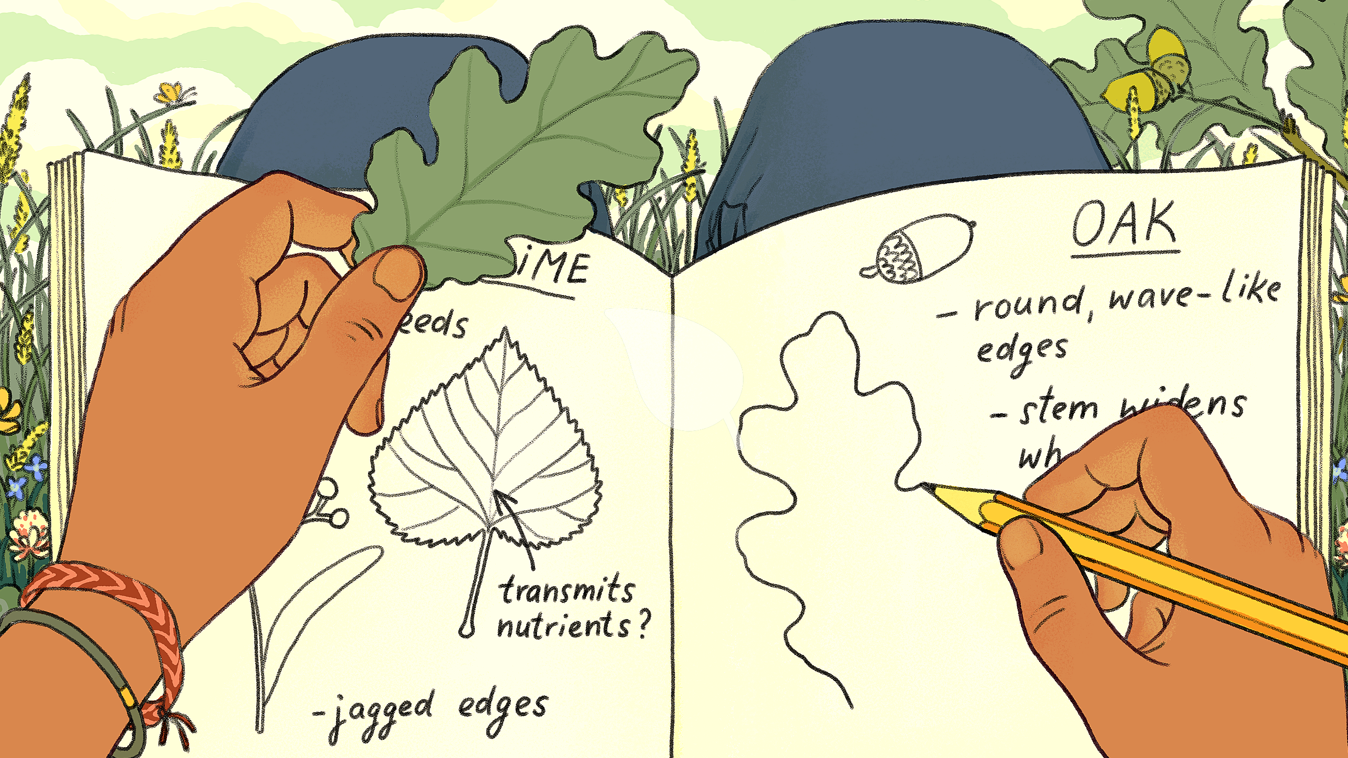 Child drawing in nature journal outdoors